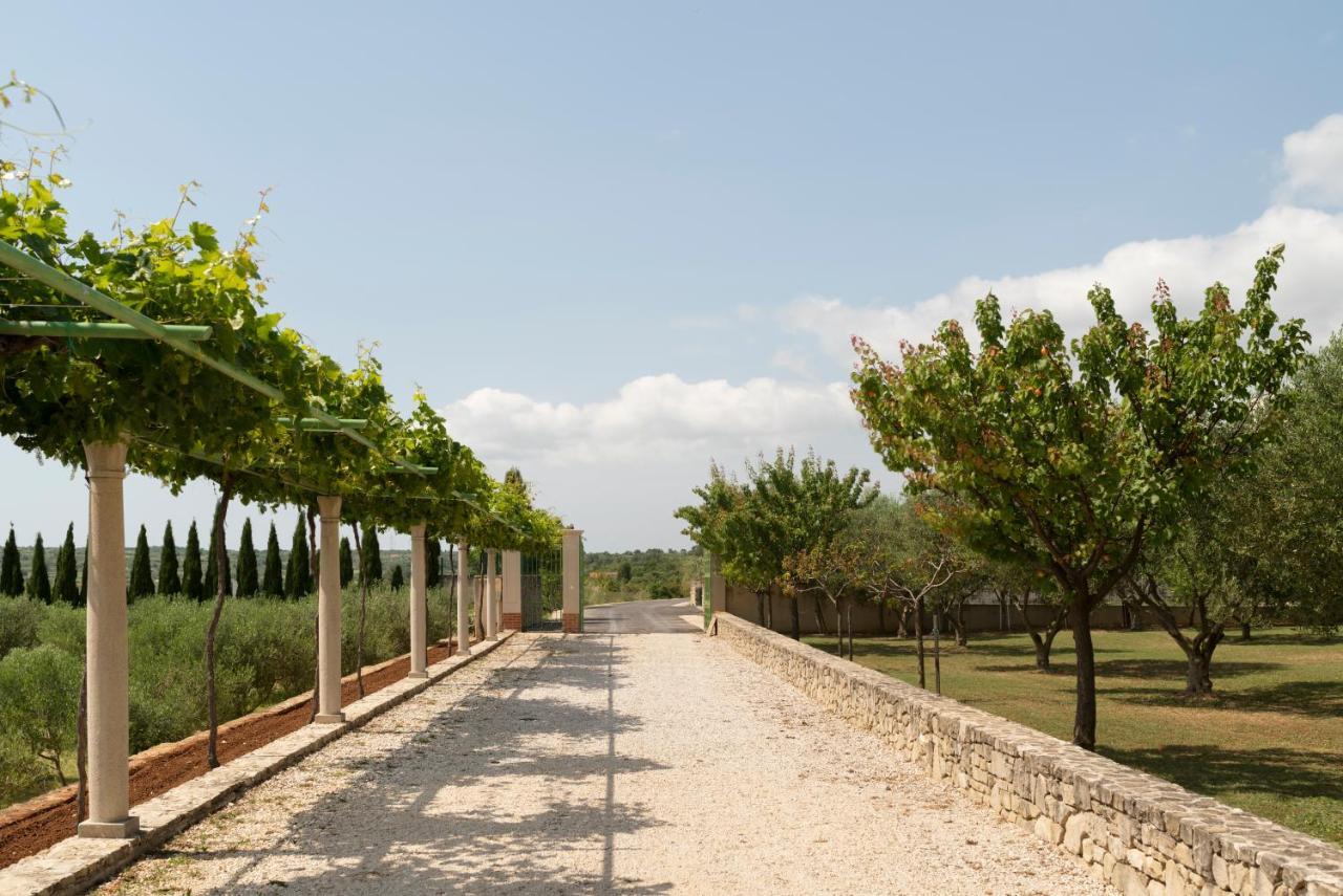 Villa Albina & Domenica Zadar Exterior foto